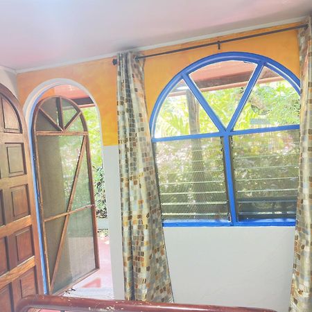 La Palapa Hut Nature Hostel Puerto Jiménez 외부 사진